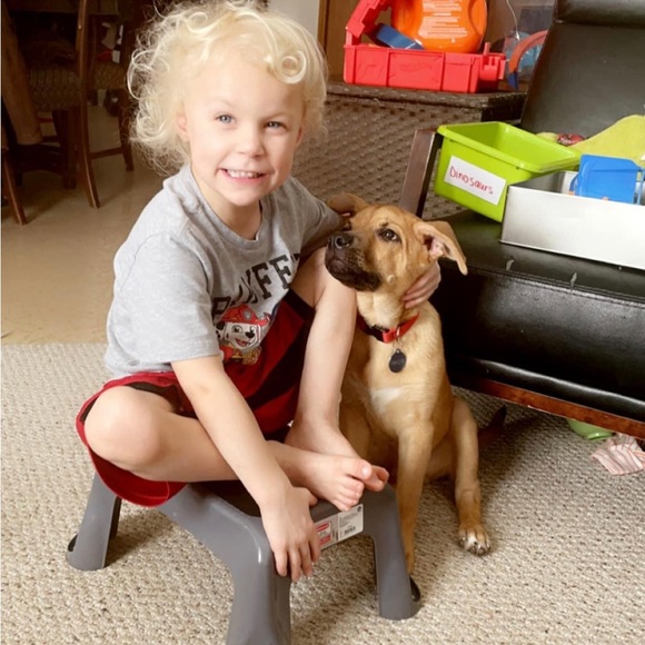 Meet your Posher, Shelby - Picture 12 of 14